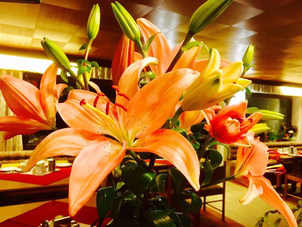 Pension Klein Und Ferienwohnungen (Adults Only) โบเดนไมส์ ภายนอก รูปภาพ